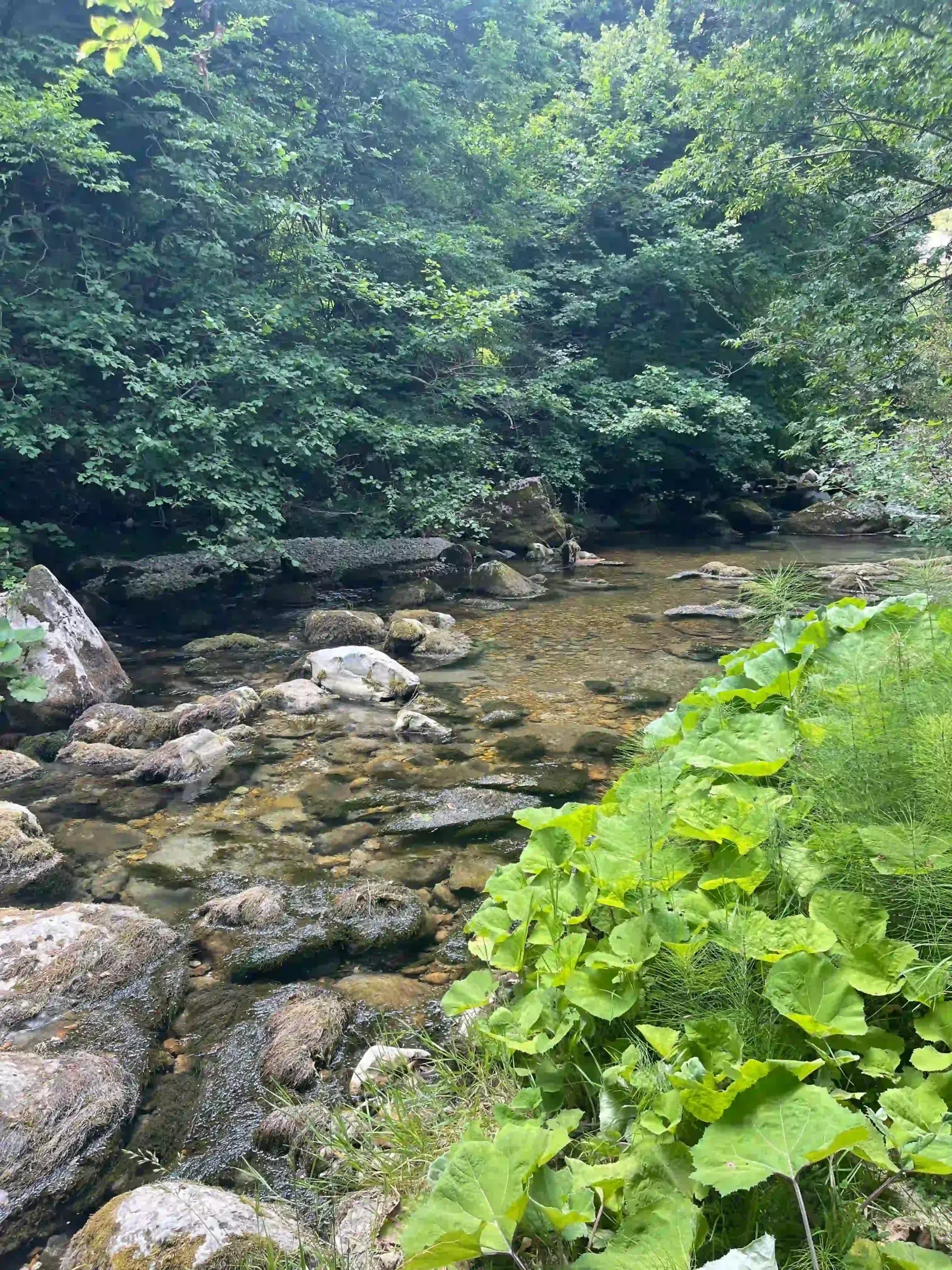Acquevive di Taranta Peligna 