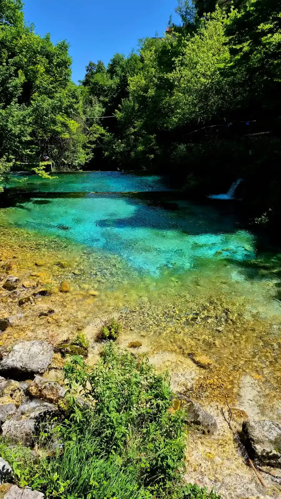 Article Sorgenti del Fiume Verde thumbnail