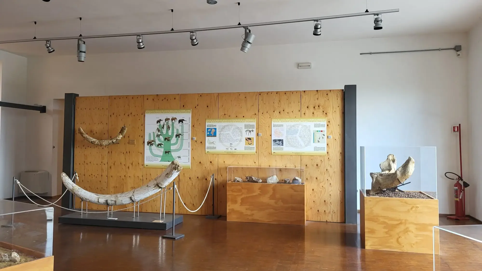 Museo Geopaleontologico di Palena