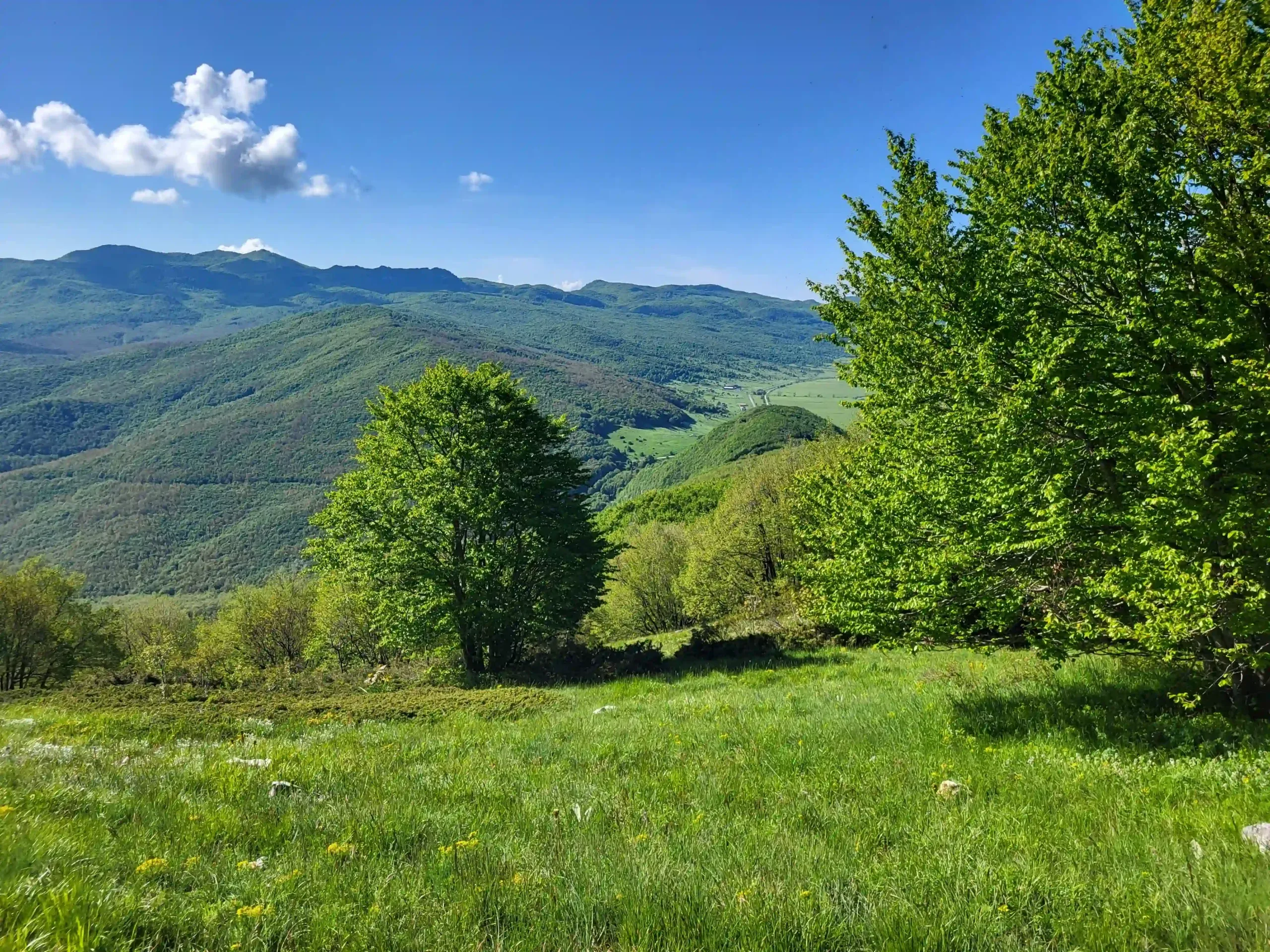 Escursioni per famiglie sulla Maiella: un’avventura tra boschi e panorami